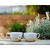 imageArt of Tea  Apricot Escape  Caffeine Free  50 Eco Friendly Pyramid Tea Bag Sachets