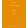 imageArt of Tea  Apricot Escape  Caffeine Free  50 Eco Friendly Pyramid Tea Bag Sachets