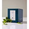 imageArt of Tea  Organic Happy Tea  12 Eco Friendly Pyramid Tea Bags Sachet  Naturally Caffeinated Mighty AromaPacific Coast Mint